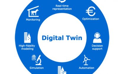 Digital Twin for Grassland